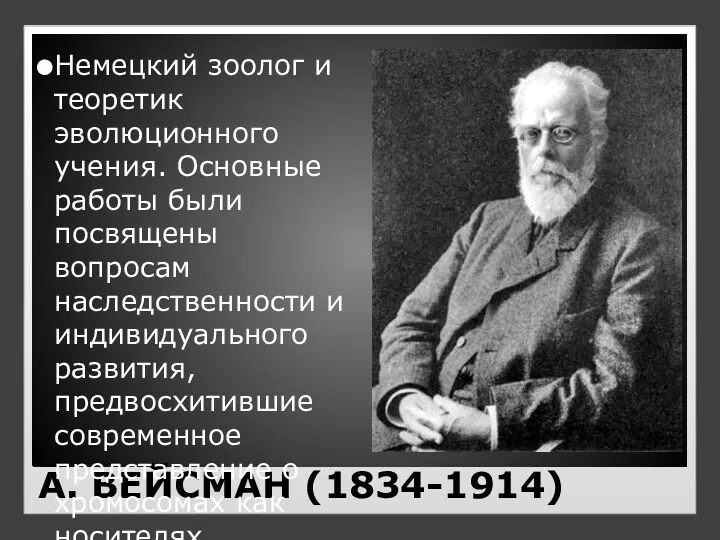 А. ВЕЙСМАН (1834-1914) Немецкий зоолог и теоретик эволюционного учения. Основные работы были посвящены