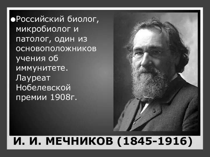 И. И. МЕЧНИКОВ (1845-1916) Российский биолог, микробиолог и патолог, один из основоположников учения