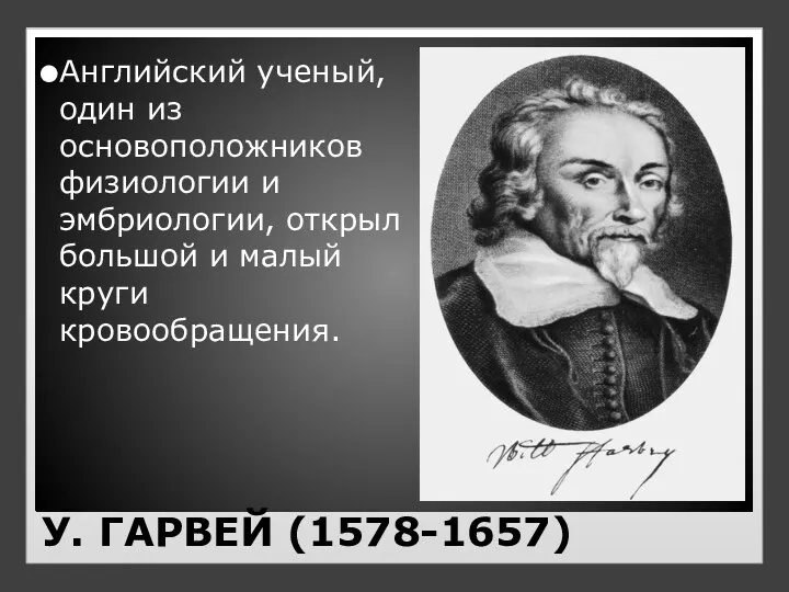 У. ГАРВЕЙ (1578-1657) Английский ученый, один из основоположников физиологии и эмбриологии, открыл большой