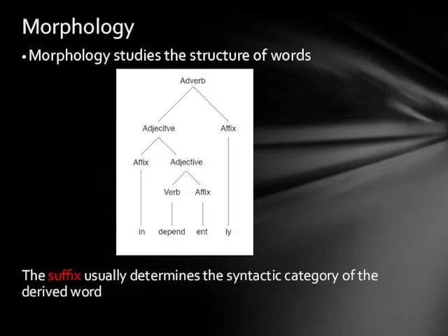 • Morphology studies the structure of words The suffix usually