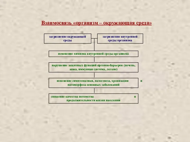 Взаимосвязь «организм – окружающая среда»