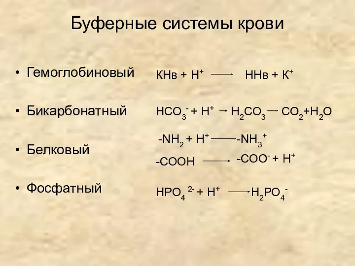 Буферные системы крови Гемоглобиновый Бикарбонатный Белковый Фосфатный СО2+Н2О -NH3+ -СООН Н2РО4-