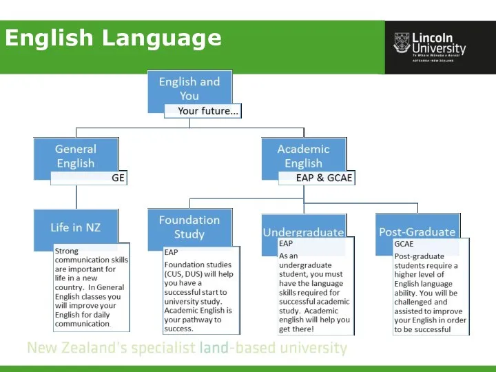 English Language