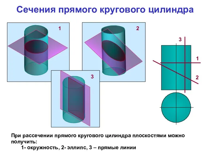 При рассечении прямого кругового цилиндра плоскостями можно получить: 1- окружность,