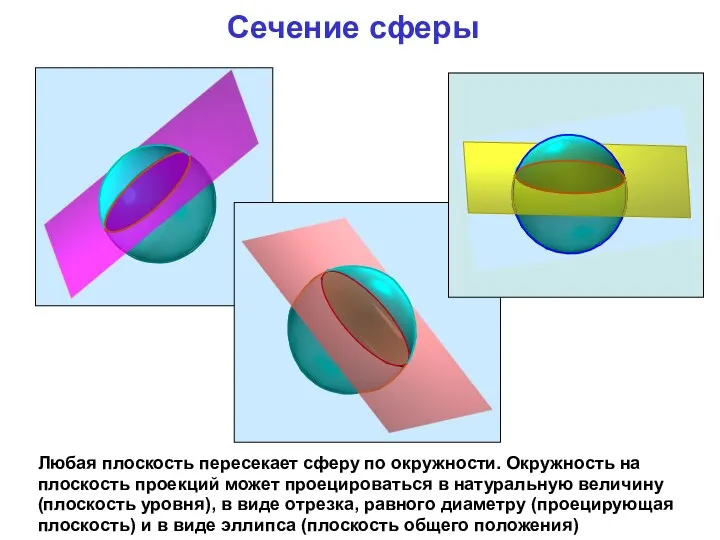 Сечение сферы Любая плоскость пересекает сферу по окружности. Окружность на