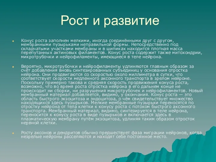 Рост и развитие Конус роста заполнен мелкими, иногда соединёнными друг