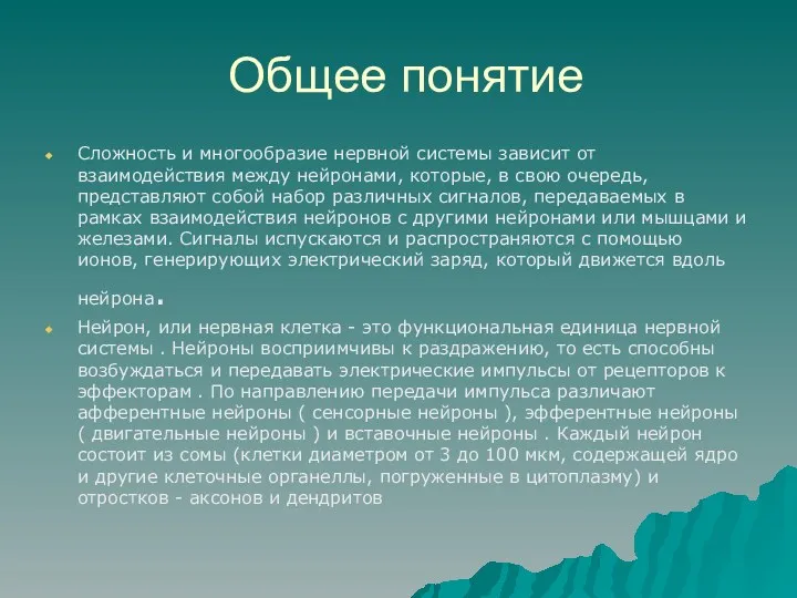 Общее понятие Сложность и многообразие нервной системы зависит от взаимодействия