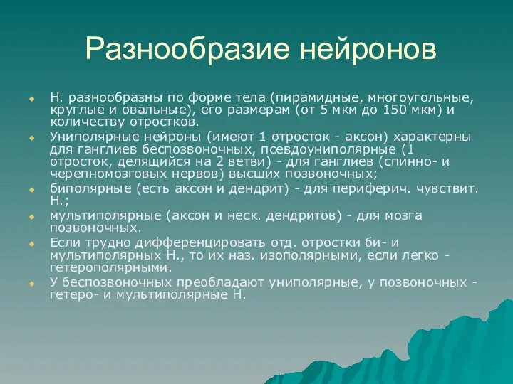 Разнообразие нейронов Н. разнообразны по форме тела (пирамидные, многоугольные, круглые