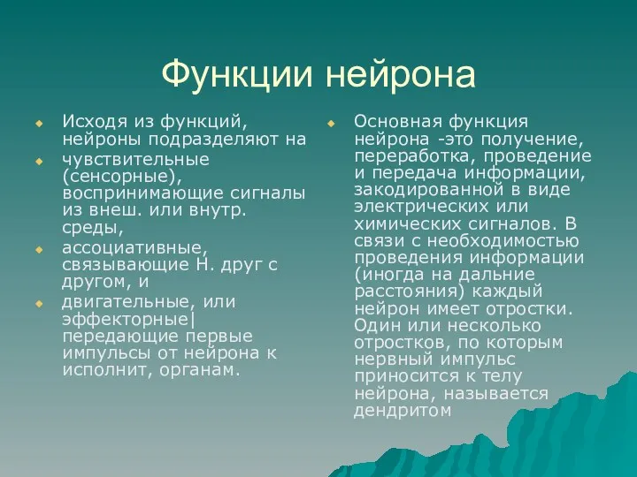 Функции нейрона Исходя из функций, нейроны подразделяют на чувствительные (сенсорные),