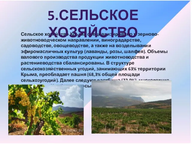 Сельское хозяйство Крыма специализировано в зерново-животноводческом направлении, виноградарстве, садоводстве, овощеводстве, а также на