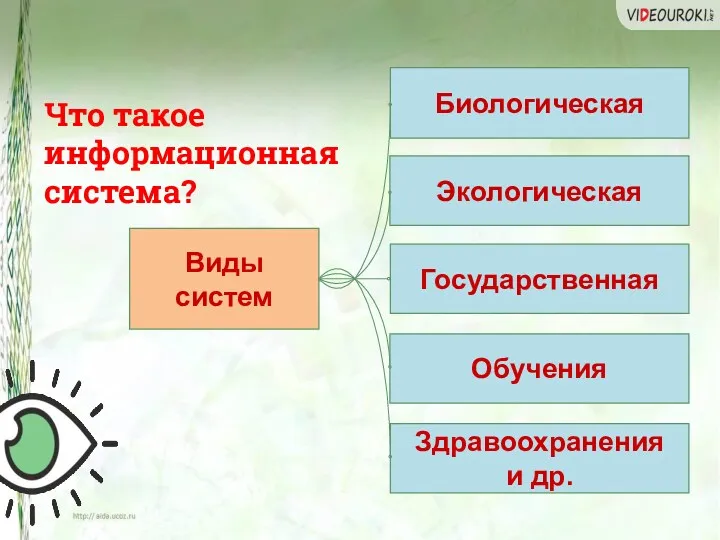 Виды систем Биологическая Экологическая Государственная Обучения Здравоохранения и др. Что такое информационная система?