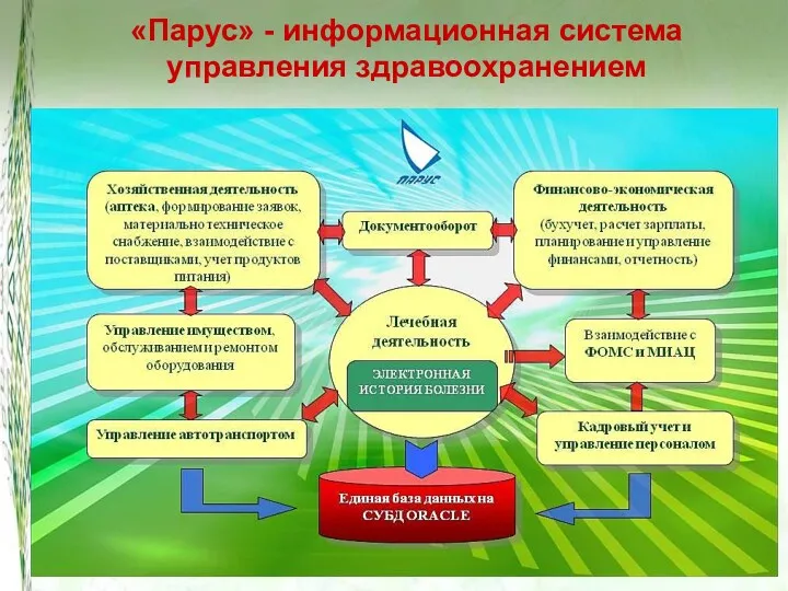 «Парус» - информационная система управления здравоохранением