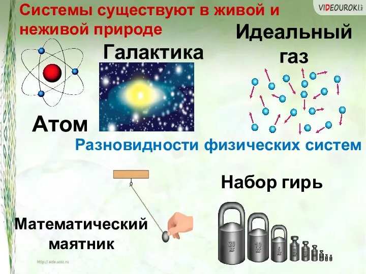 Разновидности физических систем Системы существуют в живой и неживой природе