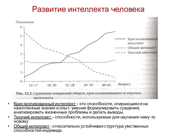 Развитие интеллекта человека Кристаллизованный интеллект – это способности, опирающиеся на