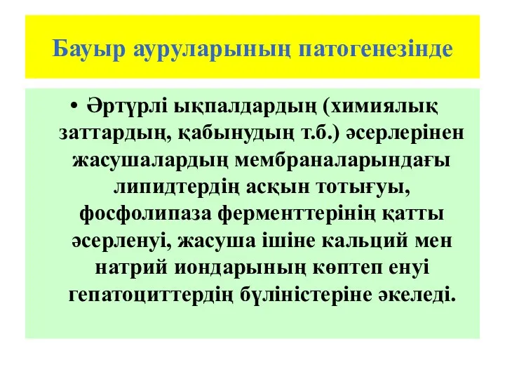 Бауыр ауруларының патогенезінде Әртүрлі ықпалдардың (химиялық заттардың, қабынудың т.б.) әсерлерінен