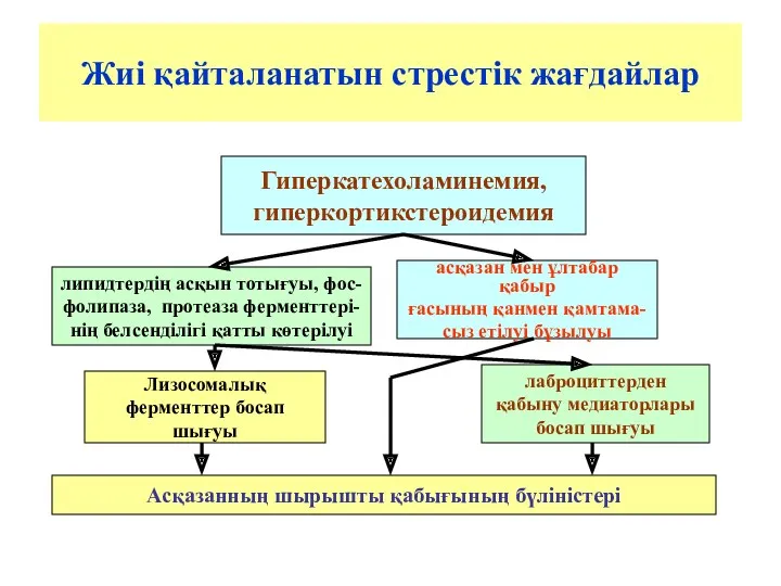 Жиі қайталанатын стрестік жағдайлар Гиперкатехоламинемия, гиперкортикстероидемия липидтердің асқын тотығуы, фос-