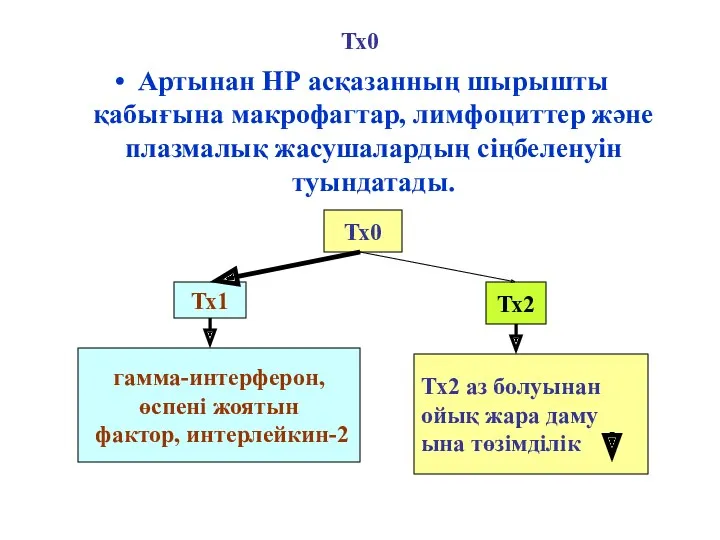 Тх0 Артынан НР асқазанның шырышты қабығына макрофагтар, лимфоциттер және плазмалық