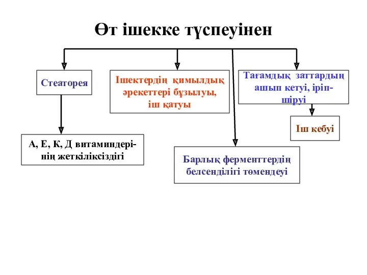 Өт ішекке түспеуінен Стеаторея Ішектердің қимылдық әрекеттері бұзылуы, іш қатуы