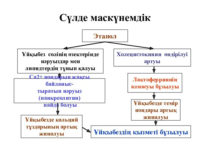 Сүлде маскүнемдік Этанол Ұйқыбез сөлінің өзектерінде нәруыздар мен липидтердің тұнып