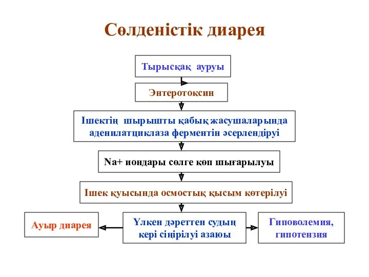 Сөлденістік диарея Тырысқақ ауруы Энтеротоксин Ішектің шырышты қабық жасушаларында аденилатциклаза