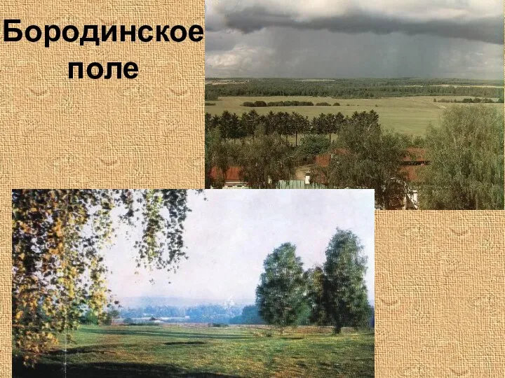 Бородинское поле