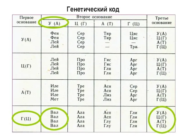 Генетический код