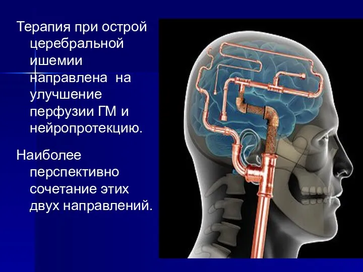 Терапия при острой церебральной ишемии направлена на улучшение перфузии ГМ