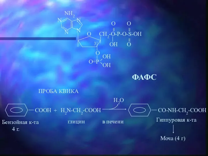 ФАФС ПРОБА КВИКА H2N-CH2-COOH Бензойная к-та 4 г. глицин в печени Гиппуровая к-та