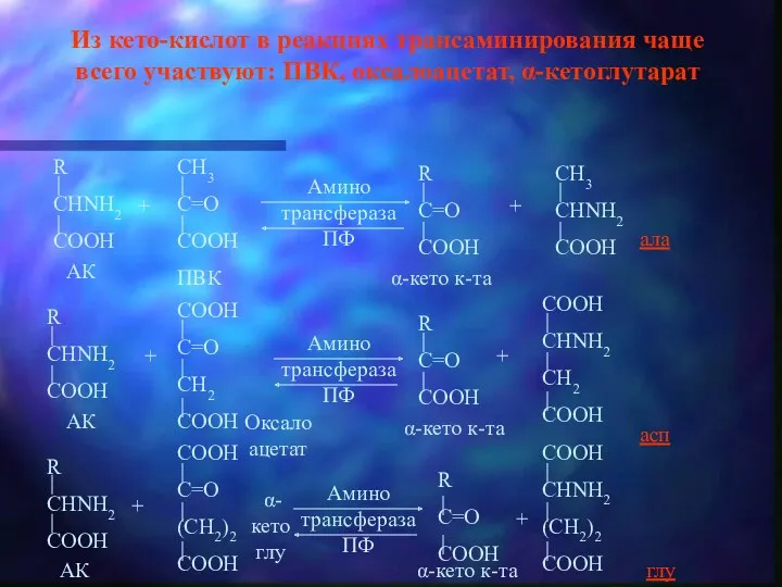 Из кето-кислот в реакциях трансаминирования чаще всего участвуют: ПВК, оксалоацетат,