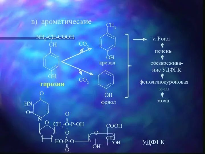 в) ароматические v. Porta УДФГК моча фенолглюкуроновая к-та обезврежива-ние УДФГК печень тирозин