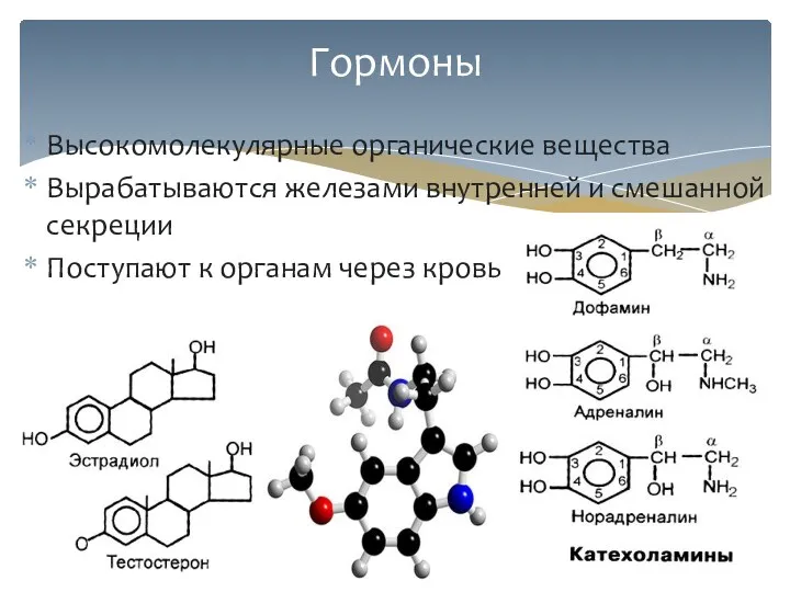 Высокомолекулярные органические вещества Вырабатываются железами внутренней и смешанной секреции Поступают к органам через кровь Гормоны