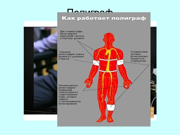 Полиграф