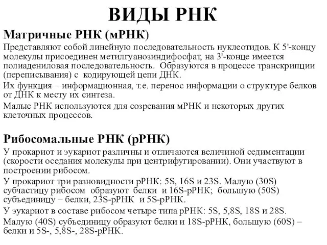 ВИДЫ РНК Матричные РНК (мРНК) Представляют собой линейную последовательность нуклеотидов.