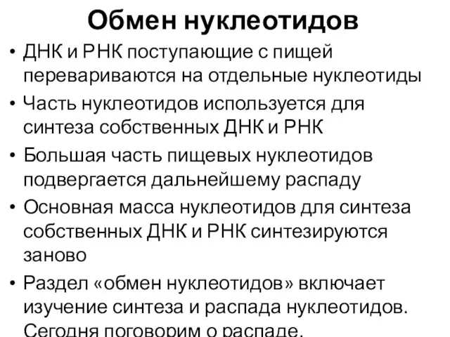 Обмен нуклеотидов ДНК и РНК поступающие с пищей перевариваются на