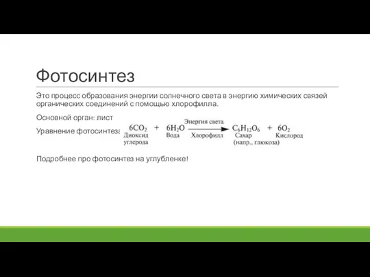 Фотосинтез Это процесс образования энергии солнечного света в энергию химических