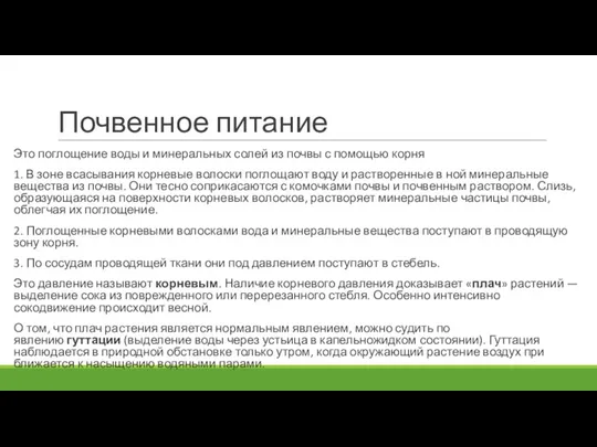 Почвенное питание Это поглощение воды и минеральных солей из почвы с помощью корня