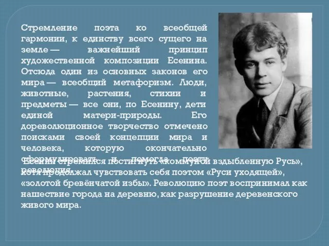 Стремление поэта ко всеобщей гармонии, к единству всего сущего на