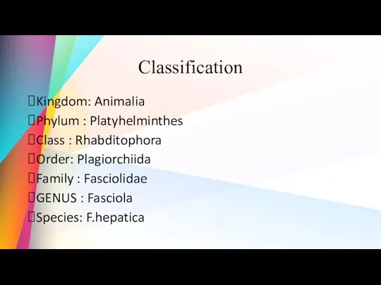 Classification Kingdom: Animalia Phylum : Platyhelminthes Class : Rhabditophora Order: Plagiorchiida Family :