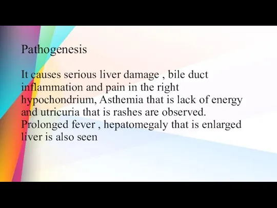 Pathogenesis It causes serious liver damage , bile duct inflammation and pain in