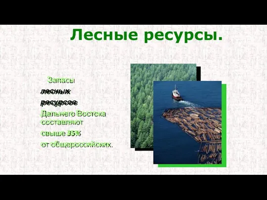 Запасы лесных ресурсов Дальнего Востока составляют свыше 35% от общероссийских. Лесные ресурсы.