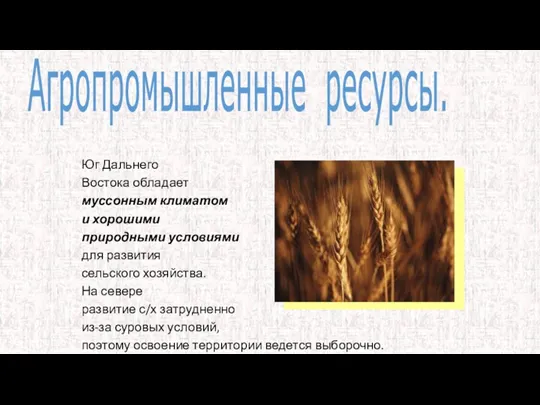 Юг Дальнего Востока обладает муссонным климатом и хорошими природными условиями