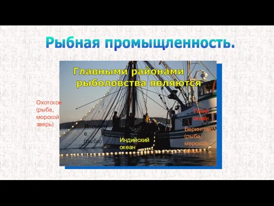 Охотское (рыба, морской зверь) Японское (рыба) Берингово (рыба, морской зверь)