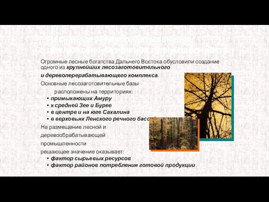 Огромные лесные богатства Дальнего Востока обусловили создание одного из крупнейших