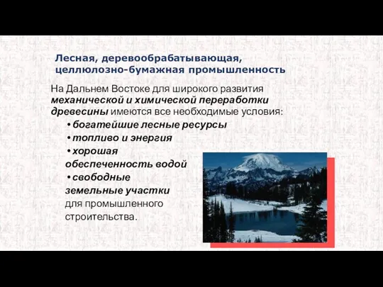 На Дальнем Востоке для широкого развития механической и химической переработки