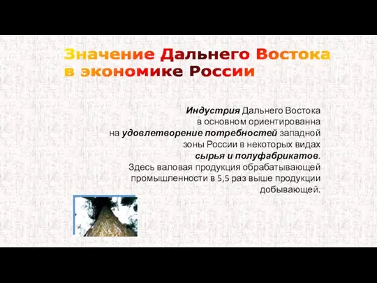 Индустрия Дальнего Востока в основном ориентированна на удовлетворение потребностей западной