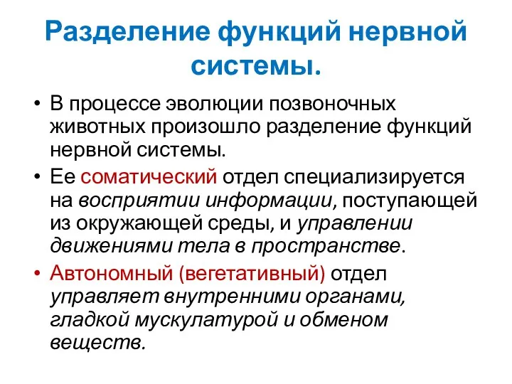 Разделение функций нервной системы. В процессе эволюции позвоночных животных произошло