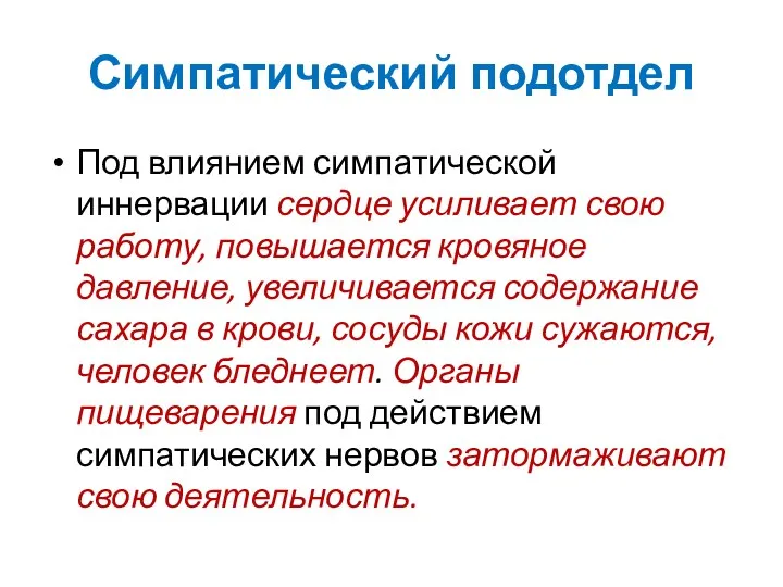 Симпатический подотдел Под влиянием симпатической иннервации сердце усиливает свою работу,