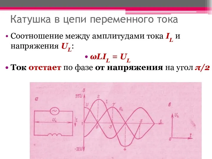 Катушка в цепи переменного тока Соотношение между амплитудами тока IL и напряжения UL: