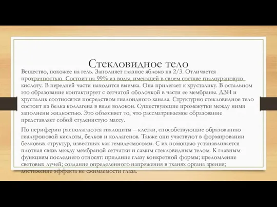 Стекловидное тело Вещество, похожее на гель. Заполняет глазное яблоко на