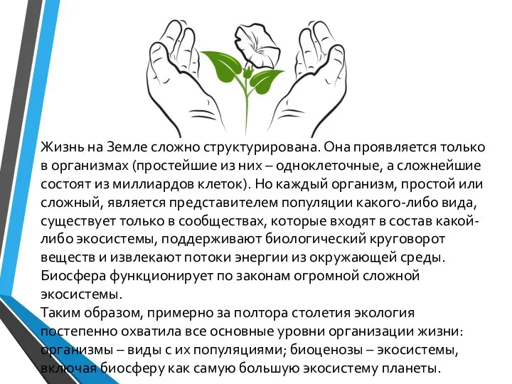 Жизнь на Земле сложно структурирована. Она проявляется только в организмах